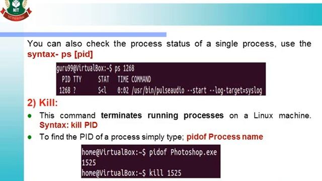 3.6 Execute Process Commands смотреть онлайн
