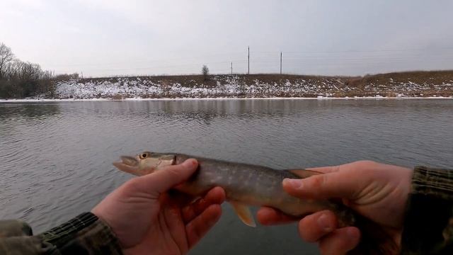 Первая весенняя рыбалка, на открытой воде.Клёв был, что надо?Жаль без трофеев? смотреть онлайн