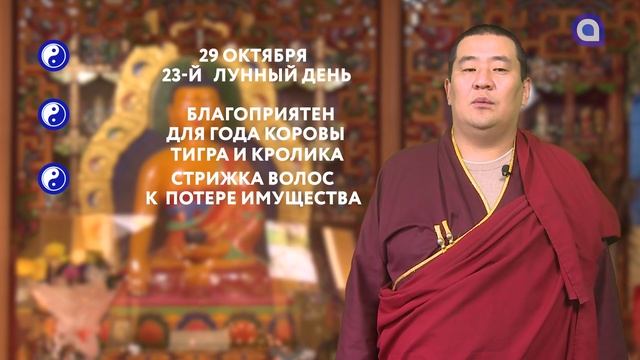 Зурхай на 29.10.2021 смотреть онлайн