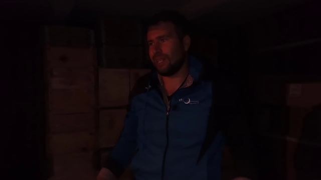 Как сохранить сушь от восковой моли в помещении. Эффективный способ сохранения суши от моли 100% смотреть онлайн