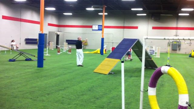 Charles Masters Std. 20-Aug-16 GSD Agility Trial смотреть онлайн