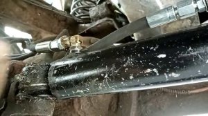 Побидил гур шишиги