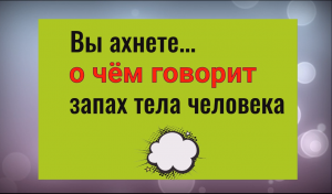 Вы анете... что означает запах тела человека