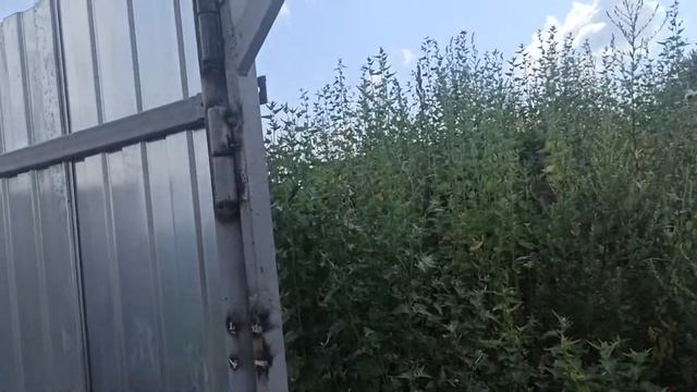 упали ворота? Пренебречь, вальсируем! рекламация навесных шарнирных петель. смотреть онлайн