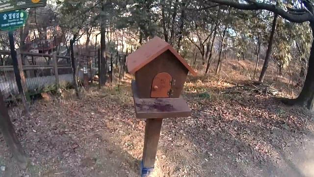Южная Корея. Сеул. День 9. Остров Вольмидо. Wolmi Park смотреть онлайн