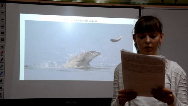 Феодосия. Голич Марина. Звуки дельфинов - показатель экологического состояния акватории обитания смотреть онлайн