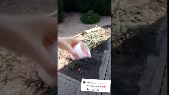 ⁠✧⁠*⁠𝓚𝓪𝓵𝓮𝓻𝓲𝔂𝓪 ⁠✧⁠*