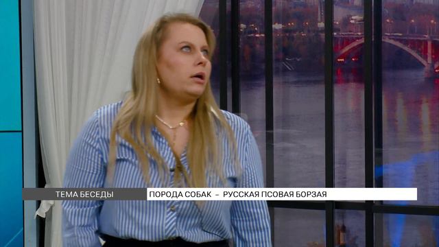 Русская псовая борзая: особенности породы собак и содержание смотреть онлайн