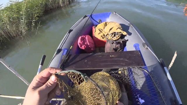 САЗАН НА ПОПЛАВОК В ОКТЯБРЕ САЗАН НА КУКУРУЗУ ЗАКРЫТИЕ СЕЗЕНА ОЗЕРО ЧАНЫ смотреть онлайн