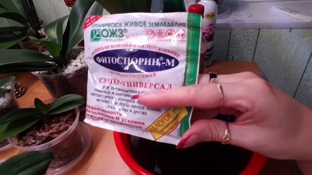 Фитоспорин и все о нем?? смотреть онлайн