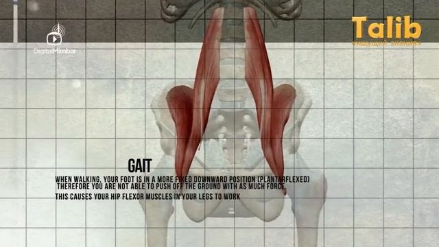 Высокие каблуки и к чему они приводят смотреть онлайн