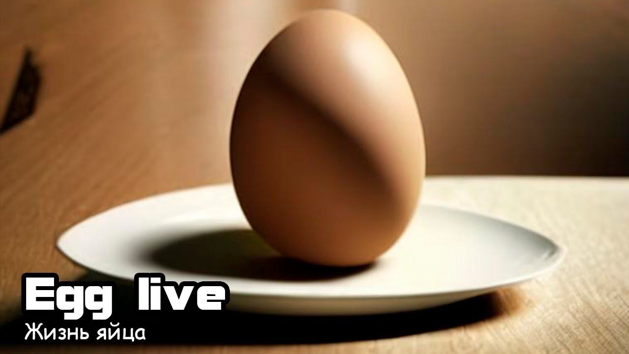 Жизнь яйца (2019) Короткометражный фильм смотреть онлайн