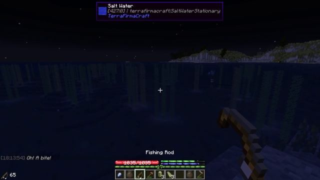 Terrafirmacraft Reloaded - E15 - Mining with Arkas (Minecraft) смотреть онлайн