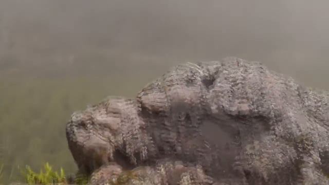 Айгир. Лето 2016г. смотреть онлайн