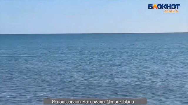 Дельфины в Благовещенской под Анапой подплыли близко берегу смотреть онлайн