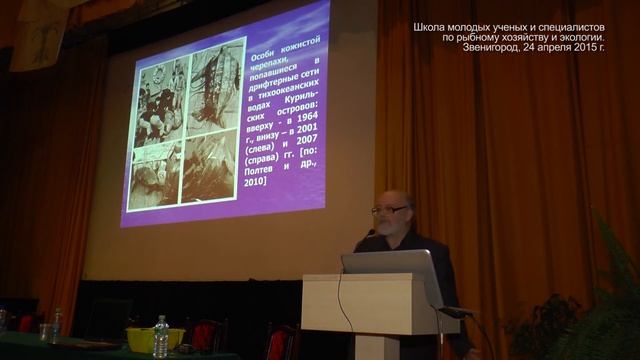 Мигранты в дальневосточных морях России