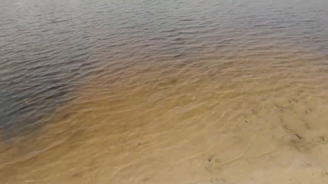 Купалка на реке Лух в Ивановской обл. 19 августа 2017 г. смотреть онлайн