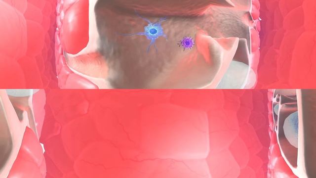 360 Degree - Journey inside the human body смотреть онлайн