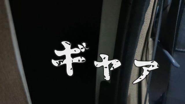 所有者不明の隣地から倒木、未整備の荒地で女ひとり車中泊 | キャンプ場開拓#2 смотреть онлайн