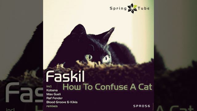 How to Confuse a Cat (Raf Fender Remix) смотреть онлайн