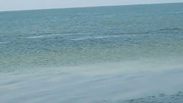 мы и дельфины смотреть онлайн