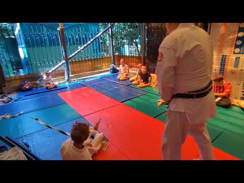 3¦ Reiseinin ryu Aikijutsu 2023 ¦ 10-6 kyu смотреть онлайн