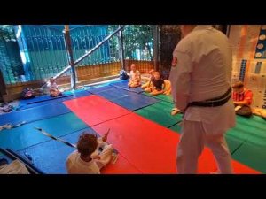 3¦ Reiseinin ryu Aikijutsu 2023 ¦ 10-6 kyu