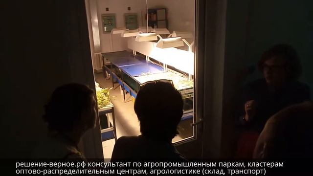 Рогачево лаборатории селекции сортов картофеля смотреть онлайн