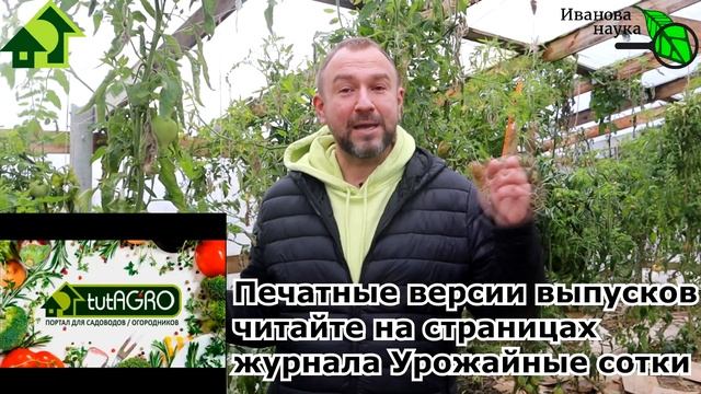 КАК ВЫРАЩИВАТЬ ТОМАТЫ и ПЕРЦЫ В ТЕПЛИЦЕ ДО НОЯБРЯ. А, главное, зачем? Гораздо больше урожай томатов смотреть онлайн