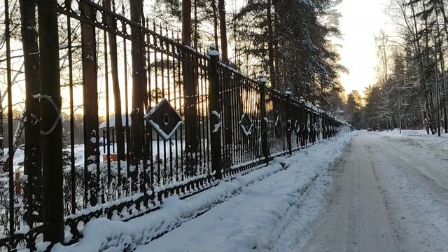 Утро в Сосновке, Санкт-Петербург смотреть онлайн