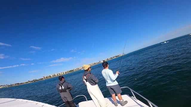 WEIRD Looking Lure Catches Hundreds Of Fish! (Goofy Jig Pompano Fishing) смотреть онлайн