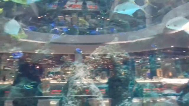 Okean Plaza Kiev смотреть онлайн