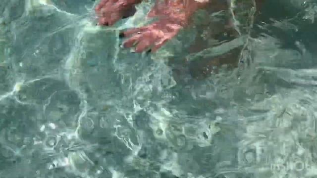 Коса Беляус. Крым 19.05.19 Нудистский пляж смотреть онлайн