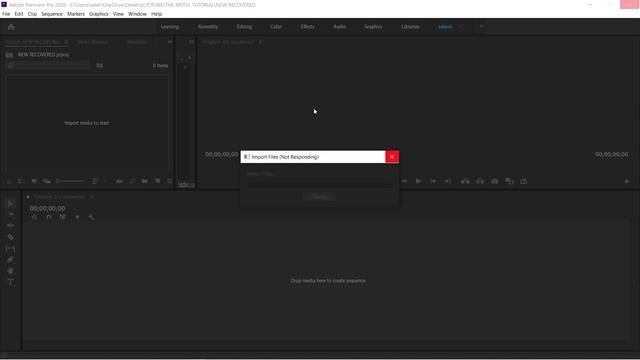 How to fix low-Level Exception - Importer MPEG Importer:8 Premiere Pro CC смотреть онлайн