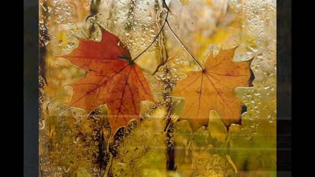 Песня "ЗАЧЕМ?" -музыка Елены Девиной, слова Татьяны Бородиной смотреть онлайн