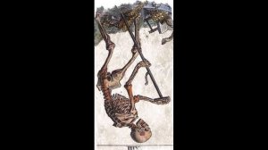 Значение карт таро  Карта смерть  Граница между этапами жизни