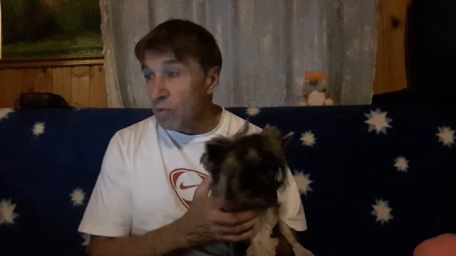 Спокойной ночи, малыши и взрослые. смотреть онлайн