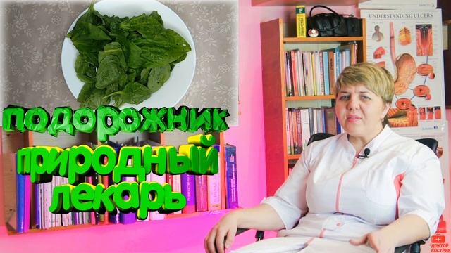 ?Подорожник - природный ?лекарь вашего организма! смотреть онлайн