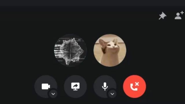 POP Cat in Discord #shorts смотреть онлайн