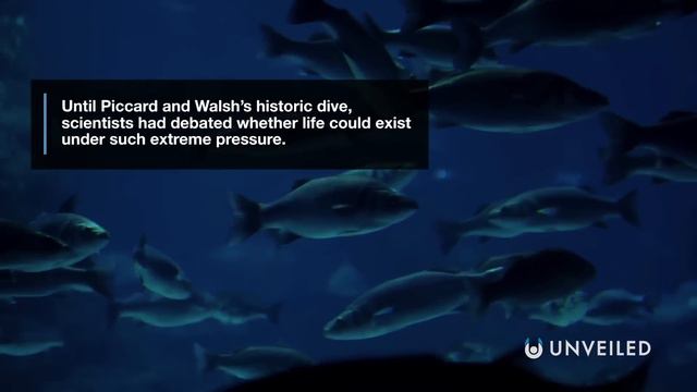 The Real Reason Why We Don't Explore The Mariana Trench | Unveiled смотреть онлайн
