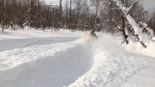 Приполярный