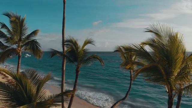 Exploring the Darkest Iceberg on the Internet (The Chart of Truth) смотреть онлайн