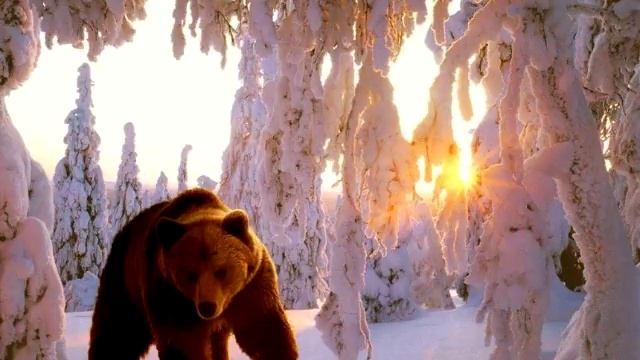 Детское творчество. Зимняя сказка смотреть онлайн
