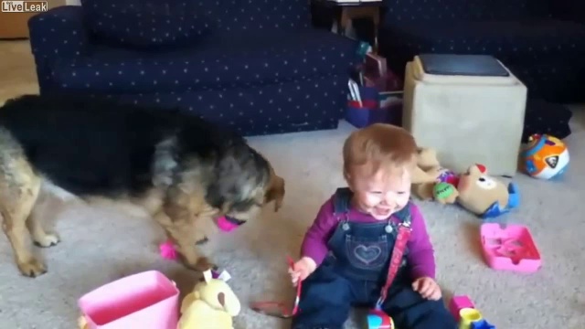 Ребёнок смеётся как собака ловит пузыри смотреть онлайн