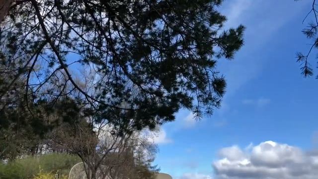 Канадский Музей Истории ?? смотреть онлайн