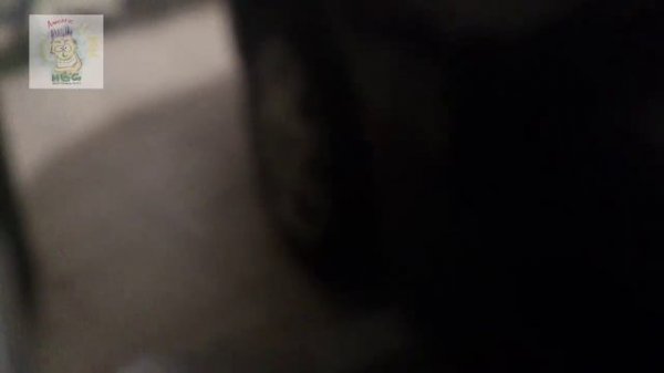 TAMANDI блог #000. Первый пуск контрактного двигателя на Mitsubishi Diamante