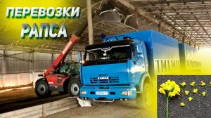 Поехал за РАПСОМ на КАМАЗЕ