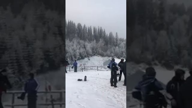 туры в Буковель из Киева! смотреть онлайн