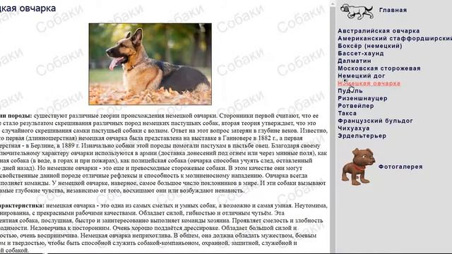 KURSOVIK.COM / Web-сайт на тему "Собаки" курсовая работа смотреть онлайн