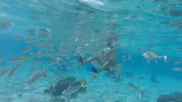 CUBA Карибское море 23.01.2018 смотреть онлайн